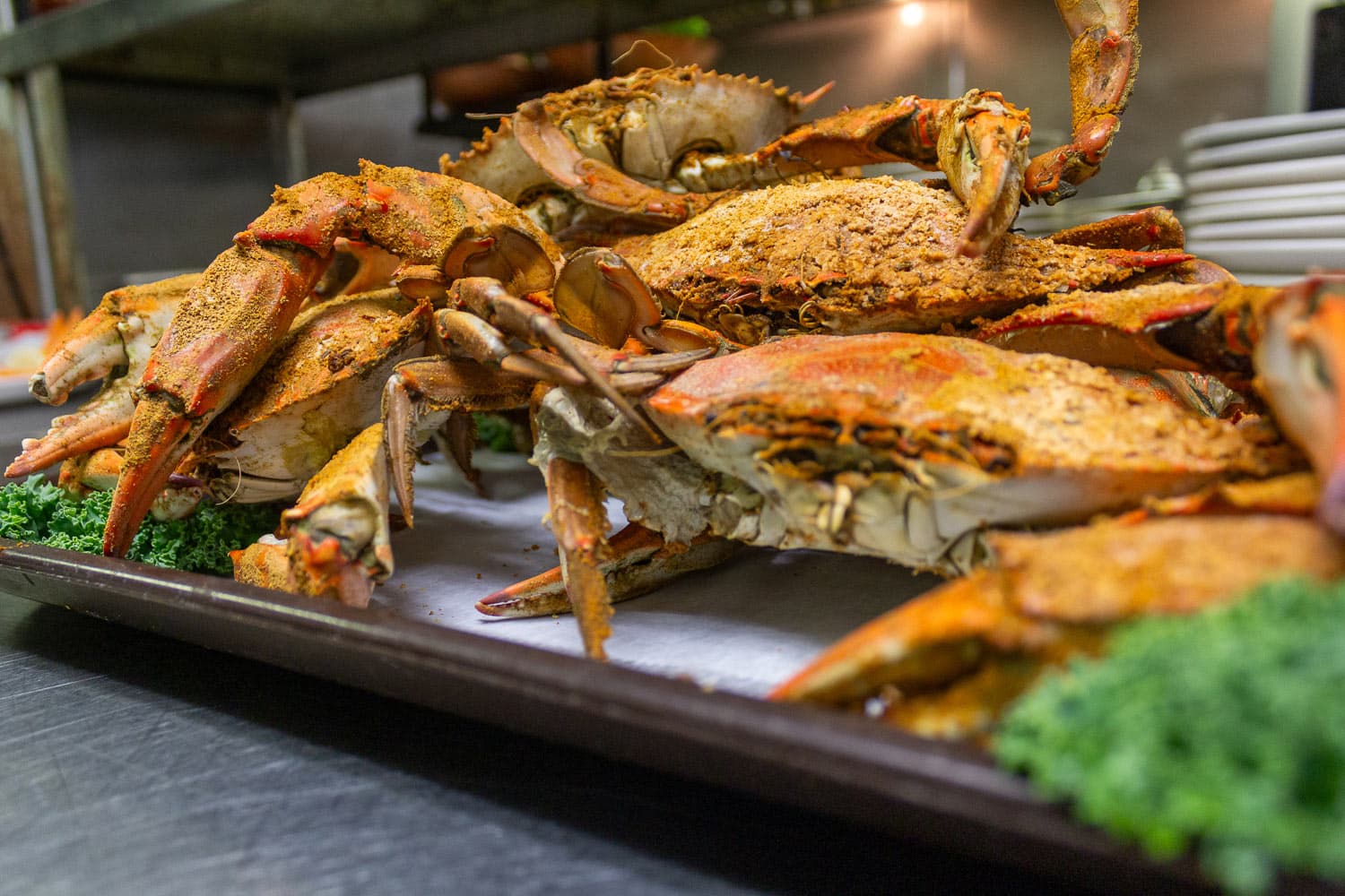 Steamed blue crabs