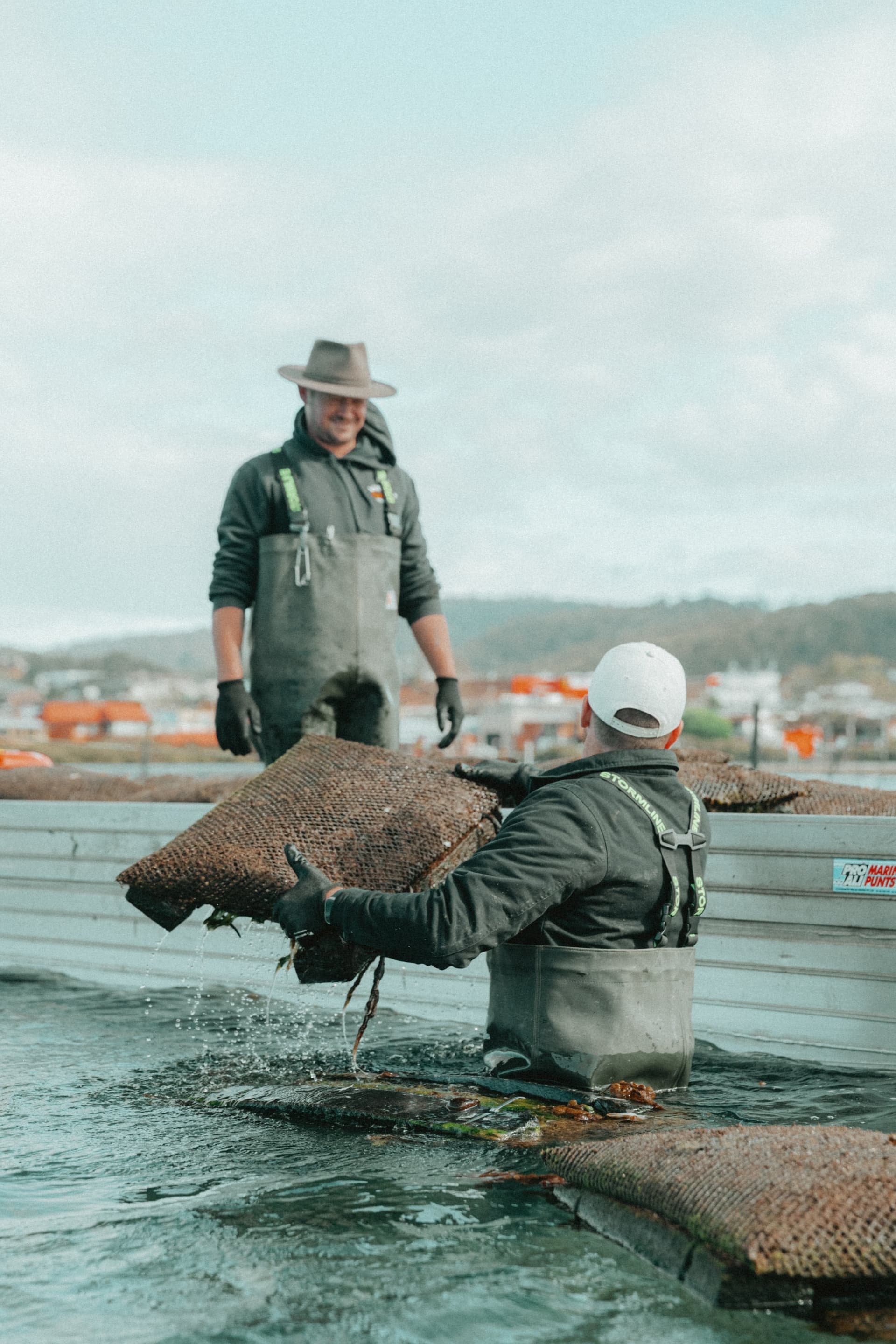 Wheeler's Oyster Farm — Merimbula Lake