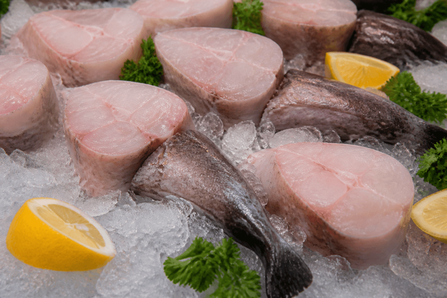 Monkfish tail medallions on ice with lemon and parsley