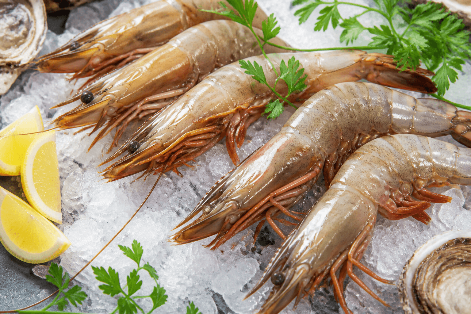 Fresh raw prawns on ice with lemon wedges and herbs