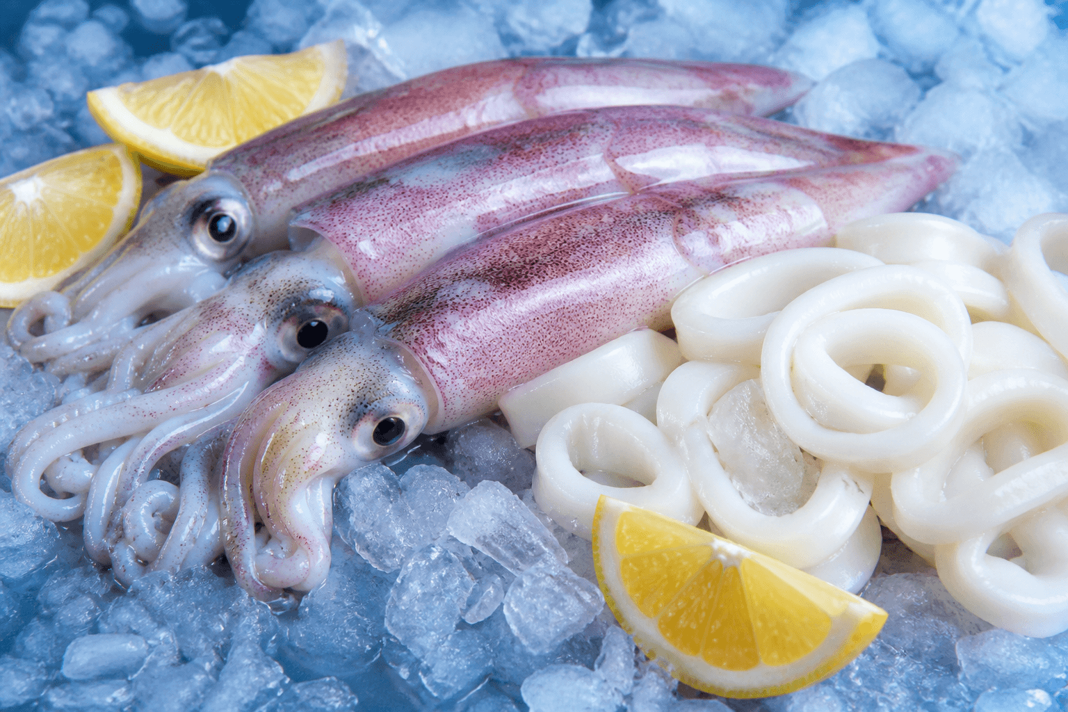 Fresh whole squid and calamari rings on ice with lemon wedges