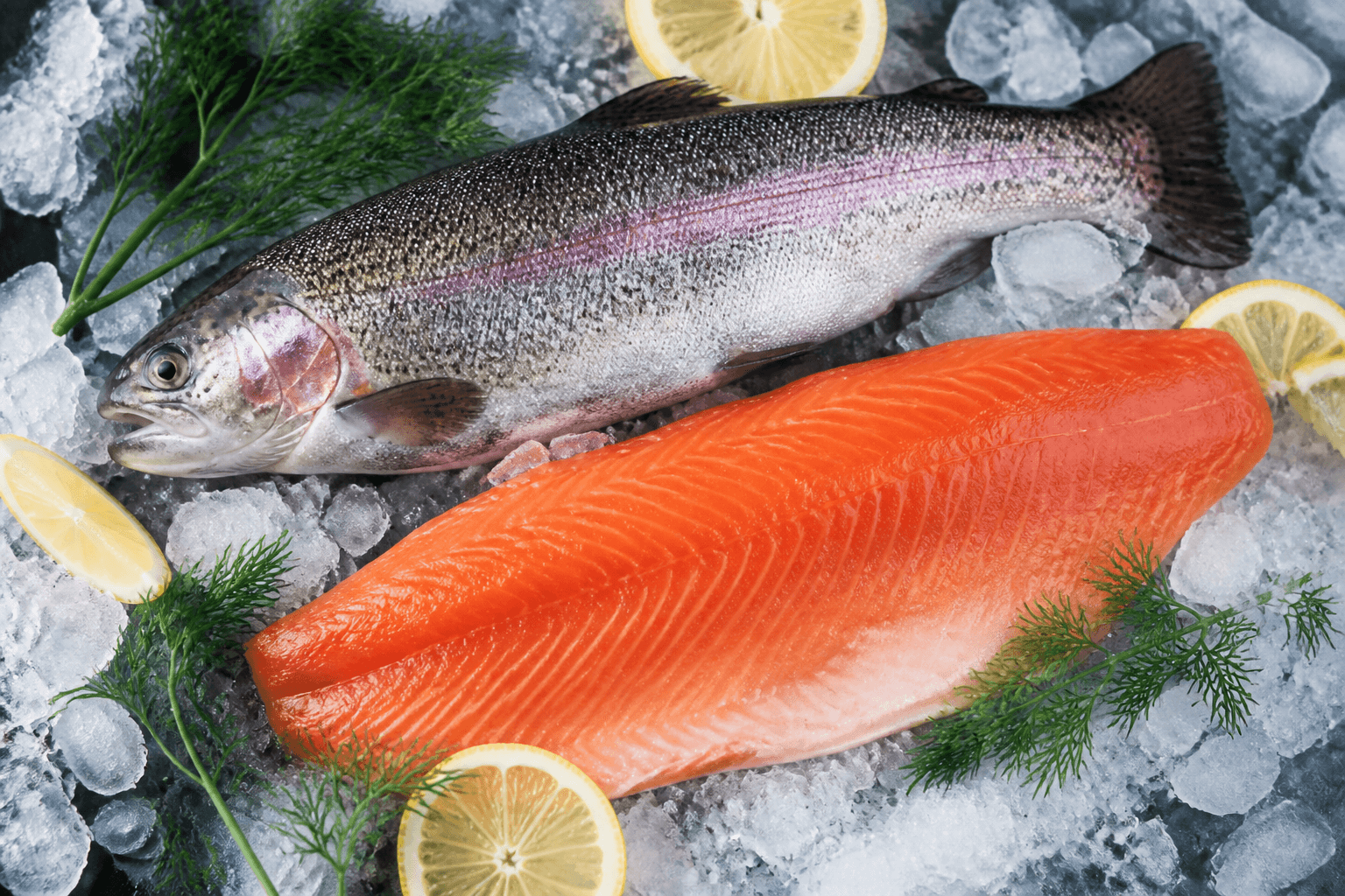 Fresh whole trout and fillet on crushed ice with lemon and dill