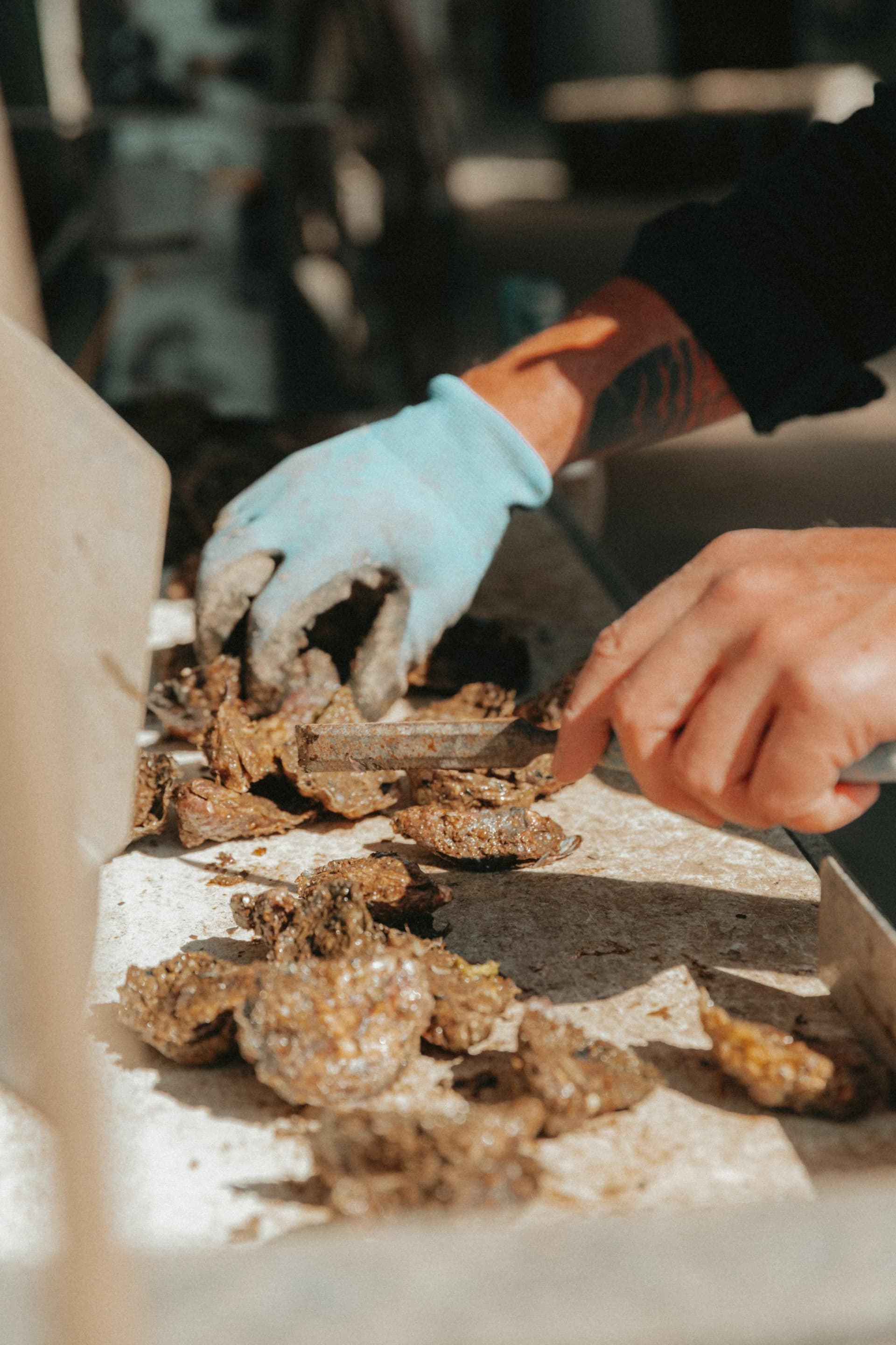 A batch we’ve raised by hand