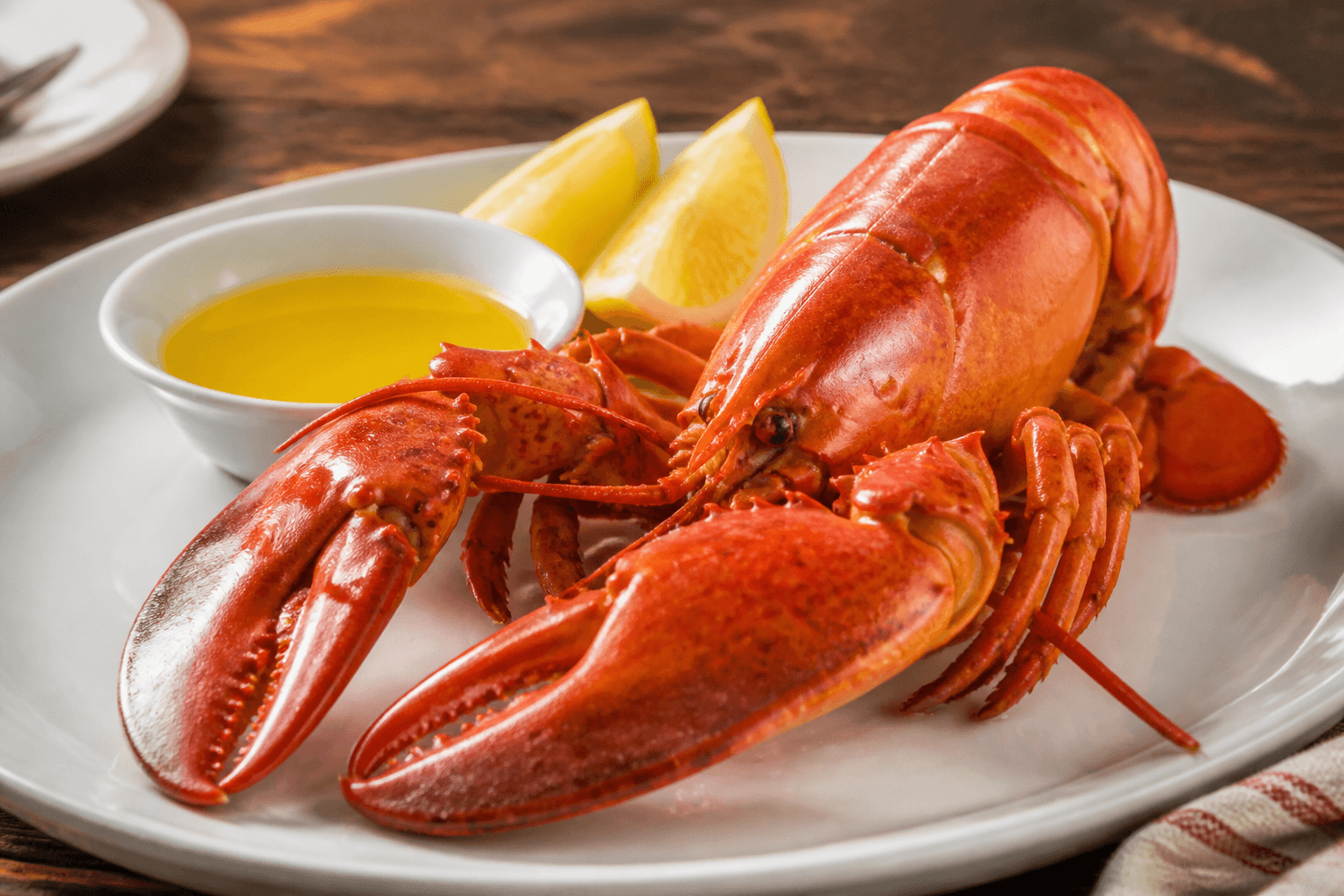 Whole lobster with drawn butter on a plate
