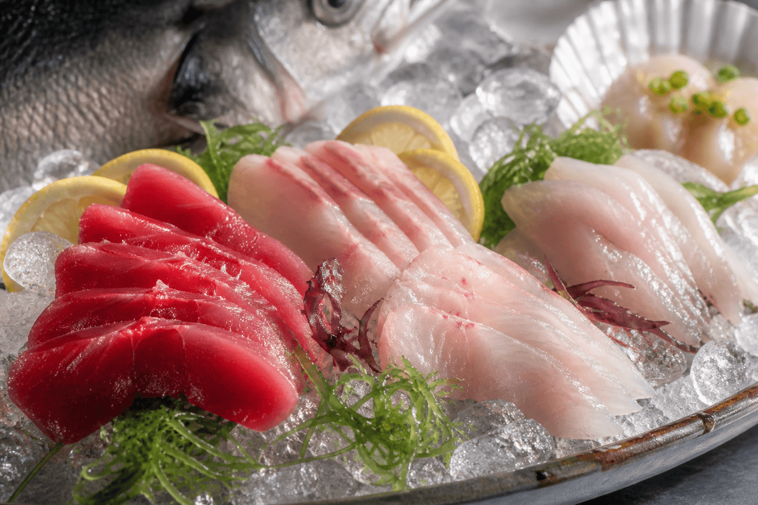 Fresh sashimi and crudo on ice at a raw bar