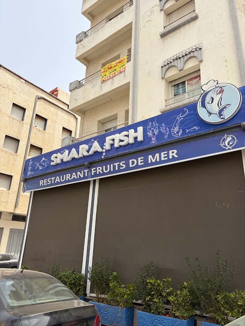 Smara fish أسماك سمارة