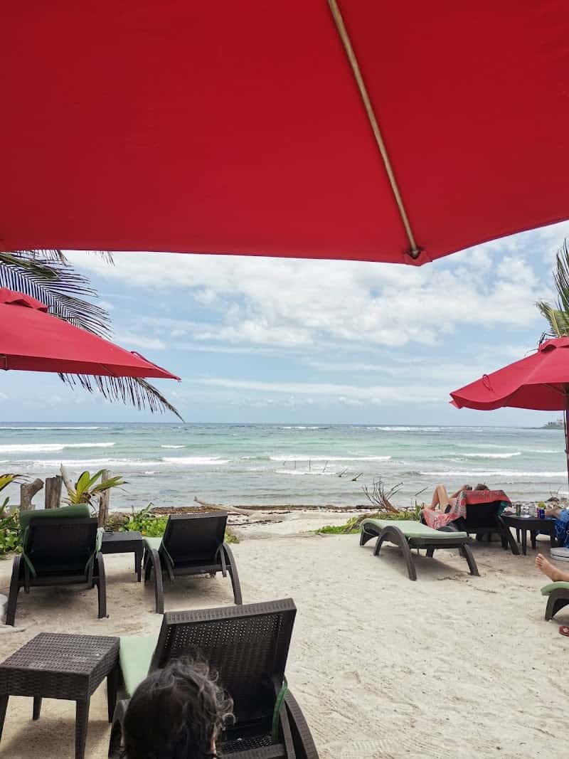 Jungle Fish Beach Club