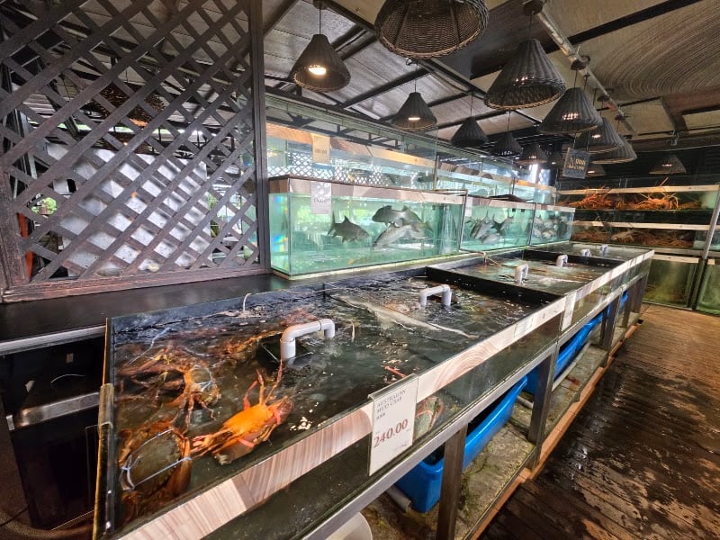 South Sea Seafood