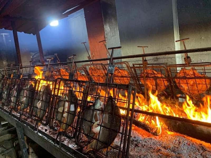 Meer Fish ماسی میر