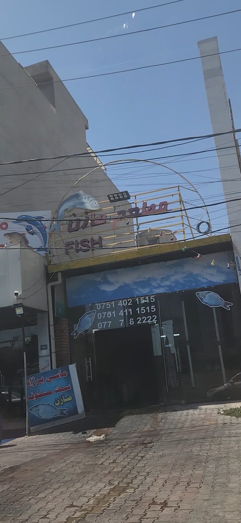 Mazen Fish