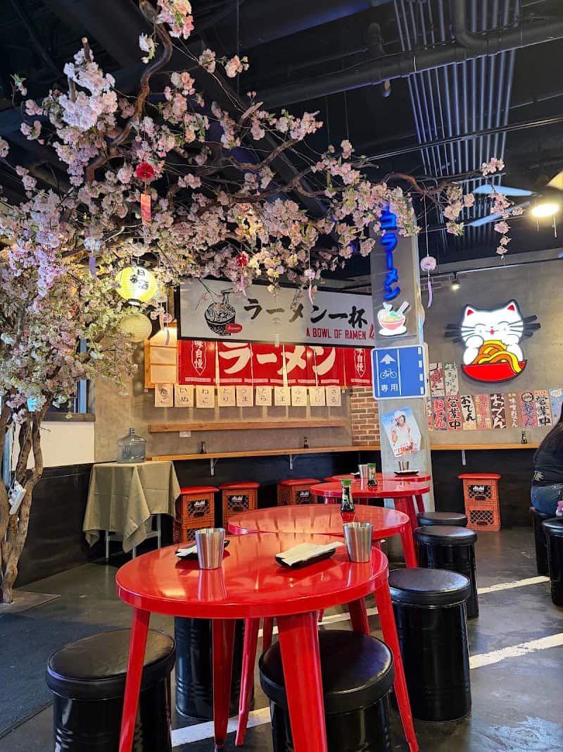 Neko Loco Sushi