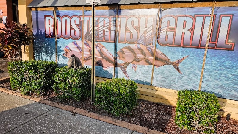 Roosterfish Grill