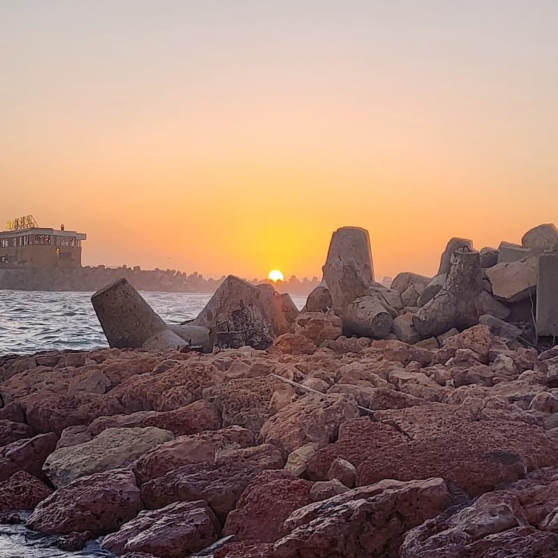 Tivoli Dome, Alexandria