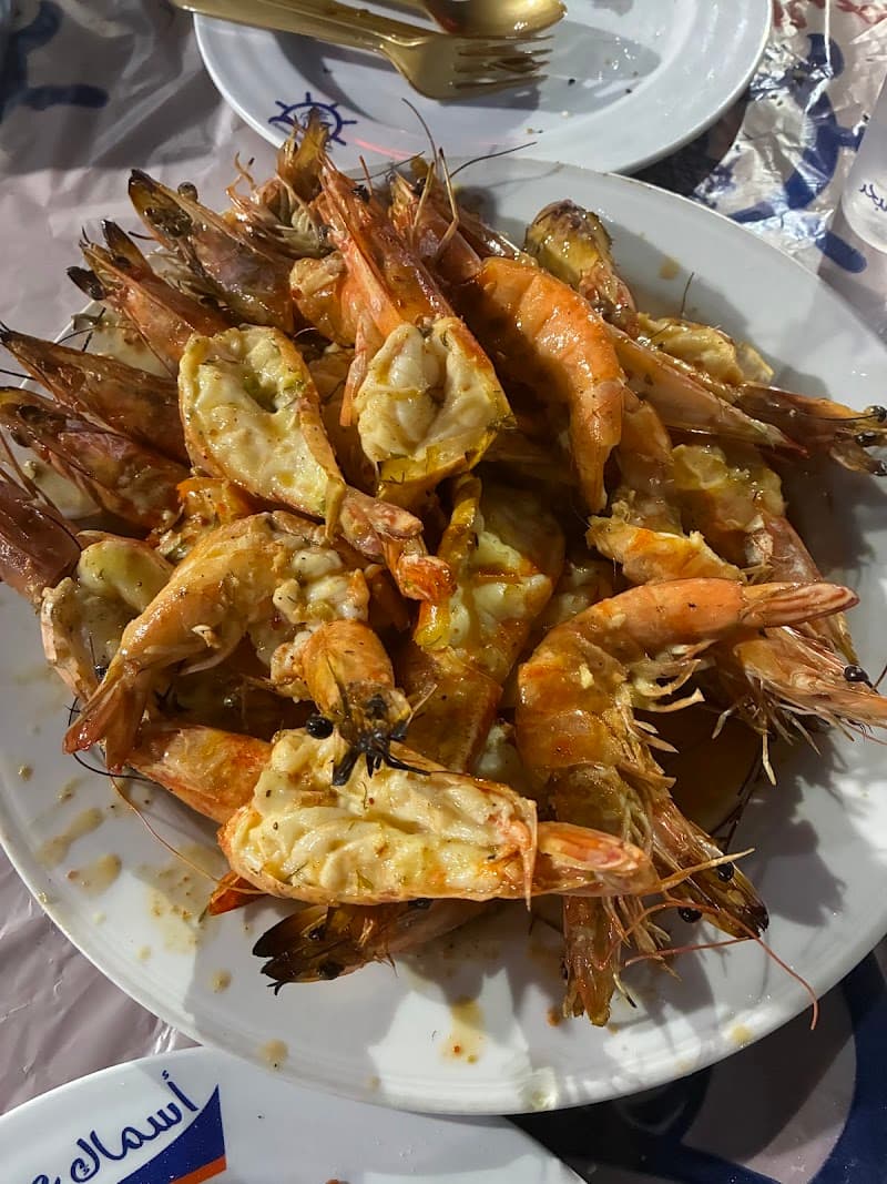 Arous Elbahr