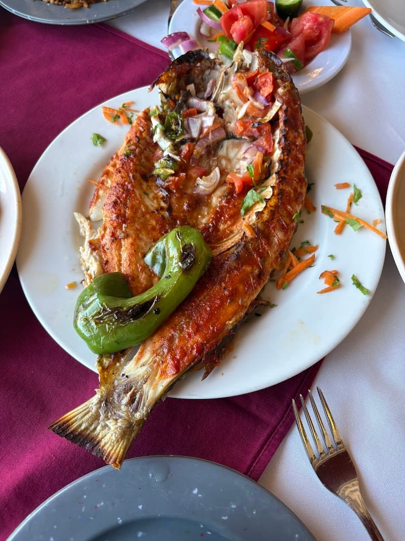 Zephere Sea food elmax