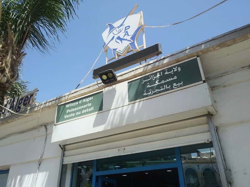 Algiers fish market