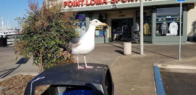 Mitch's Seafood