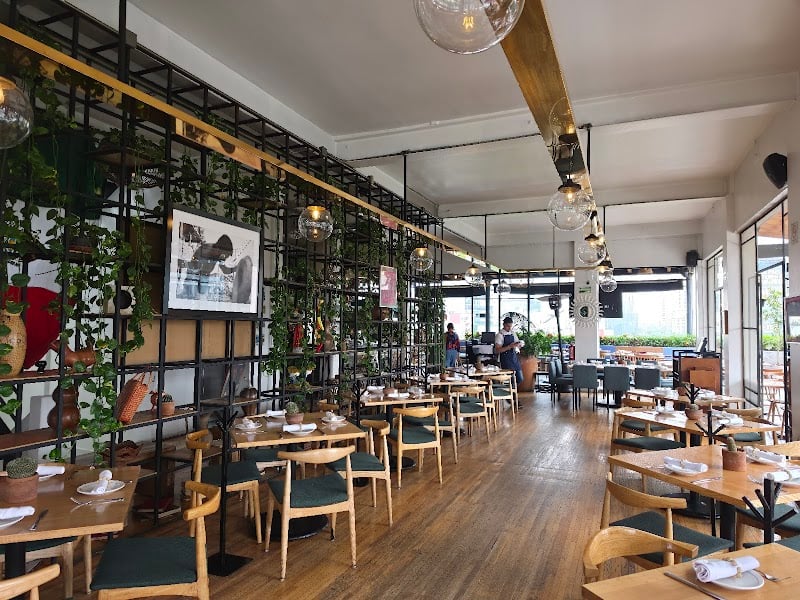 Terraza Cha Cha Chá