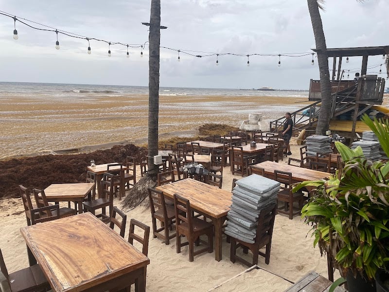 Zenzi Beach