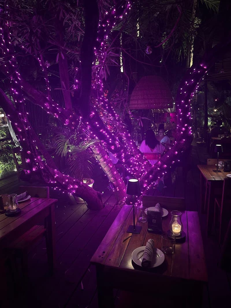 Gitano Jungle Tulum