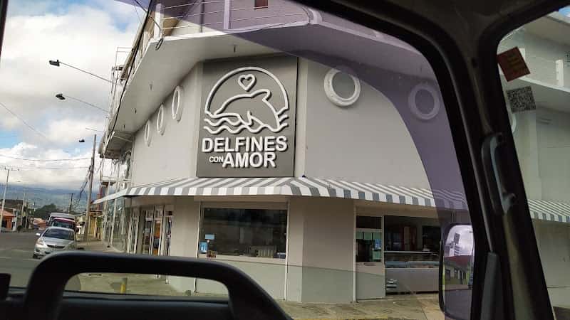 Delfines con Amor