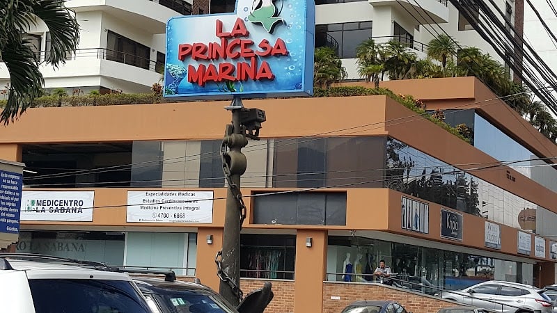 La Princesa Marina • San José