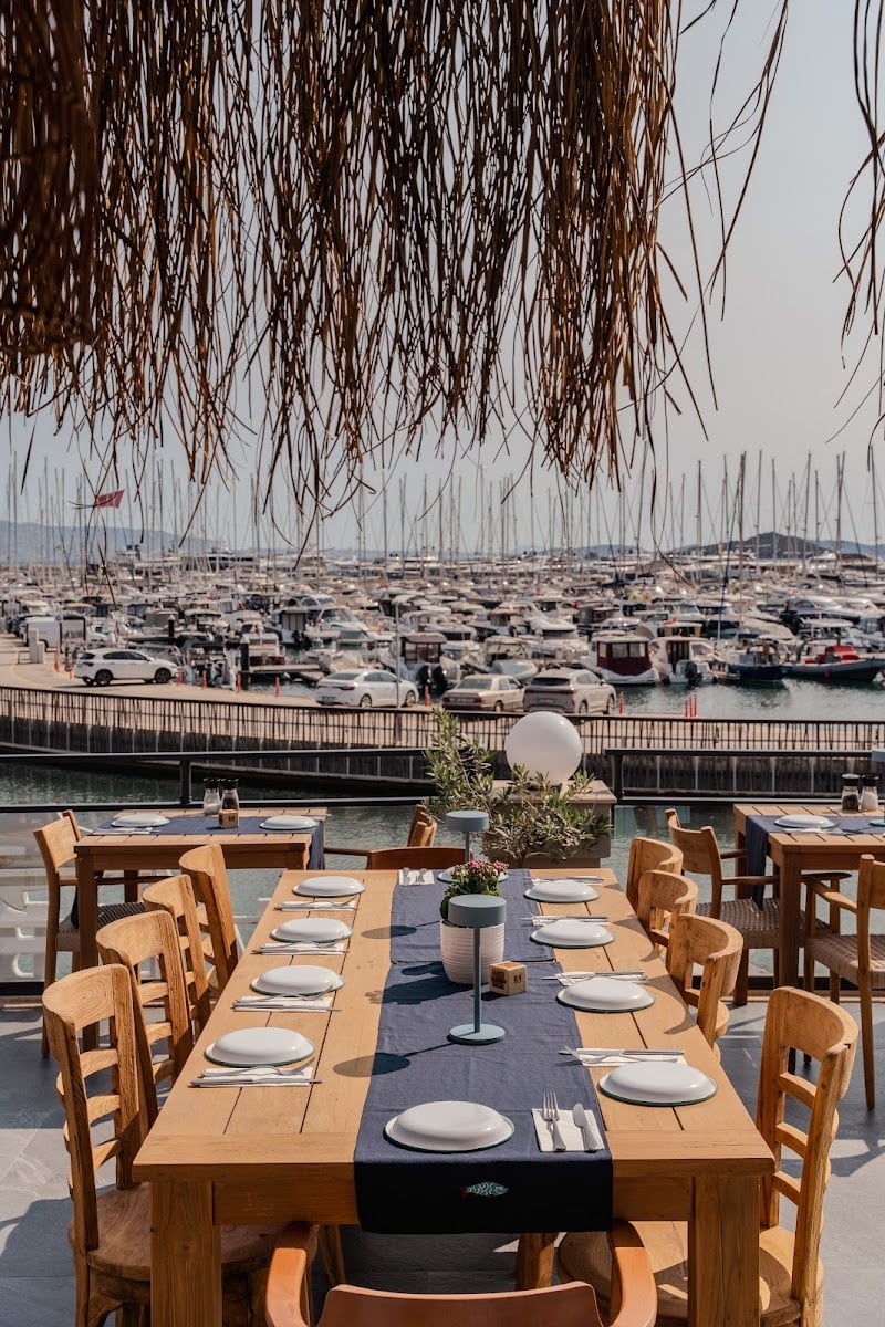 Hadi Balık Bistro
