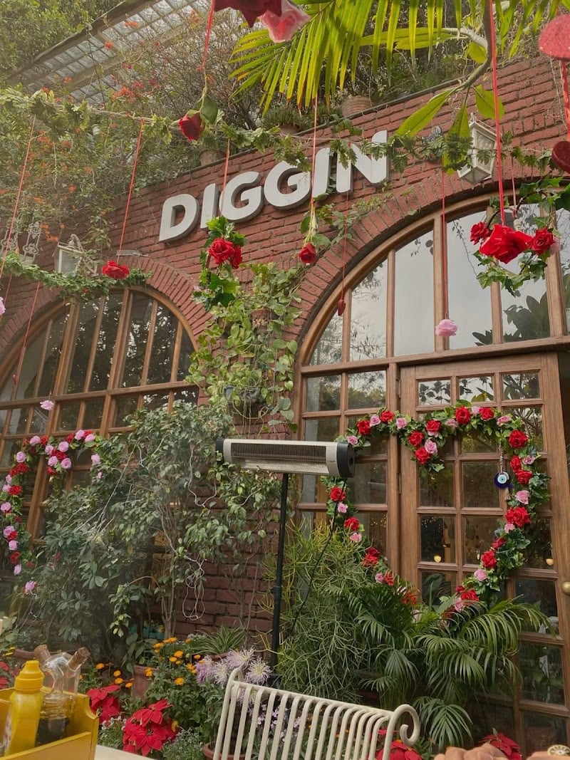 Diggin Cafe