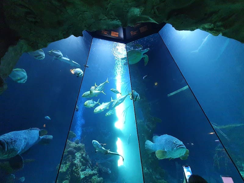 Haus des Meeres (House of the Sea)