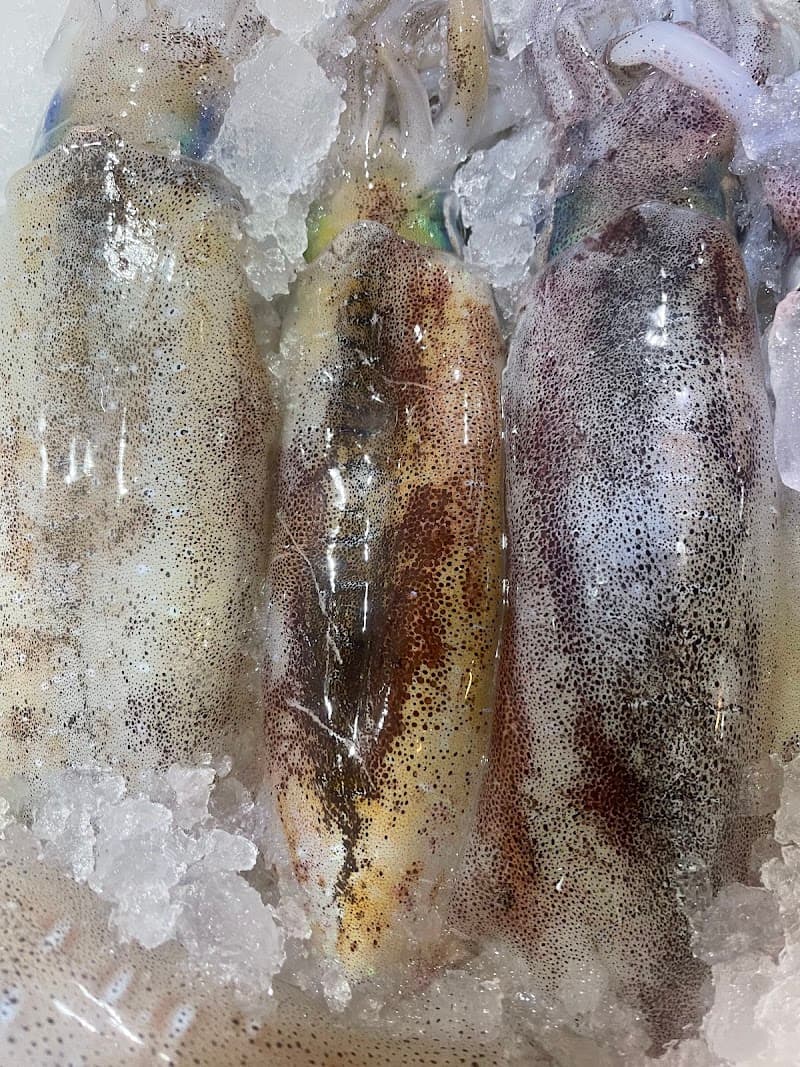 Fish Market