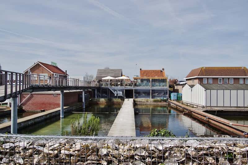 Oesterij