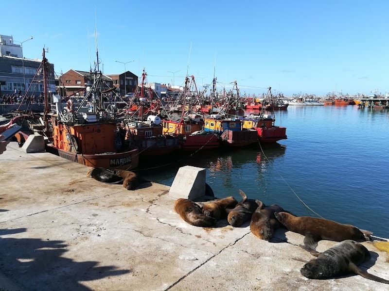 Puerto de Mar del Plata