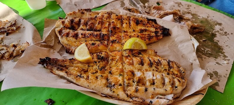 🦈 GRILLADES DE POISSONS
