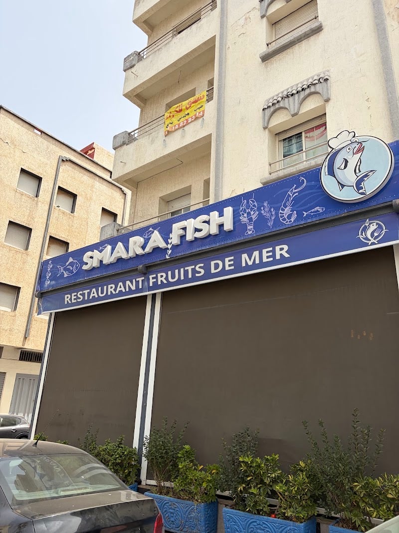 Smara fish أسماك سمارة
