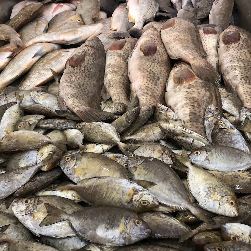 Dwahi Al Khaleej Seafood - Jidali Branch
