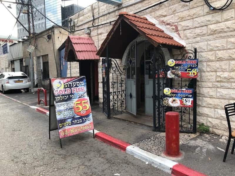 Gold Fish Haifa
