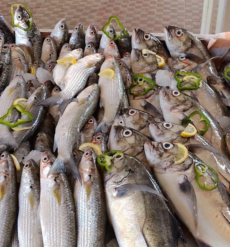 Fresh Fish SEA FOOD