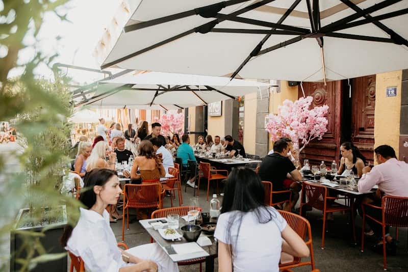Seafood restaurants in Timisoara