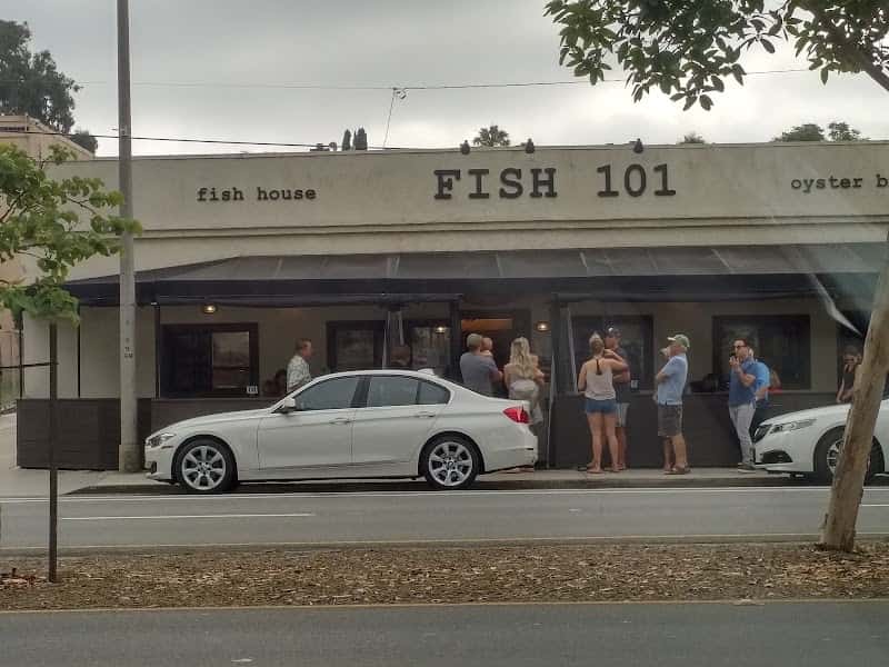 Fish 101