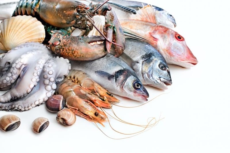 Les Fruits de Mer Sea-Ray Seafood Inc.