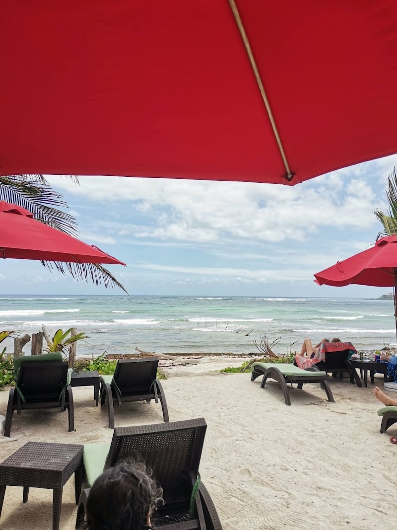 Jungle Fish Beach Club