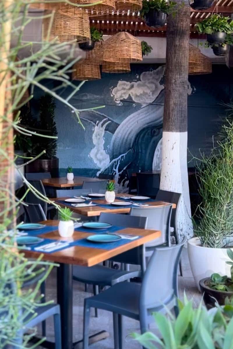 Seafood restaurants in Cabo San Lucas