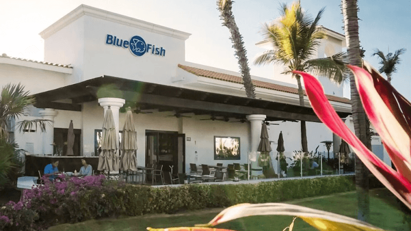 Blue Fish Cabo Seafood