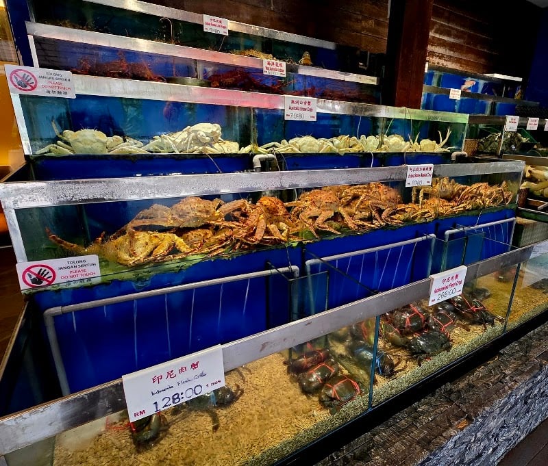 One Seafood Restaurant | 港一活海鮮