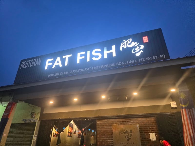 Fat Fish 肥鱼