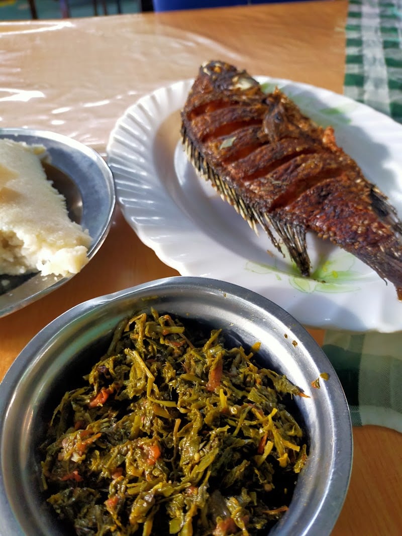 Fish Bay