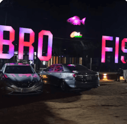 Ibro fish signature