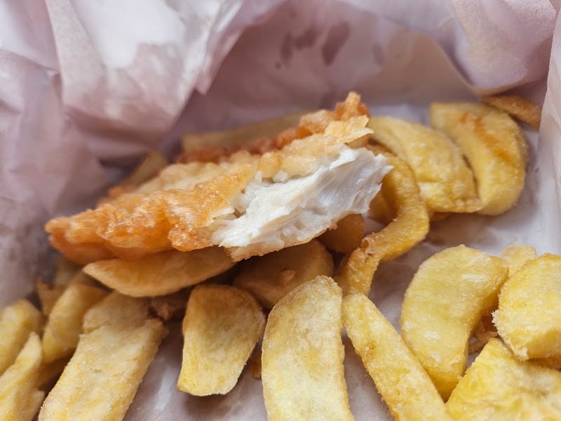 Bower Fish Supply