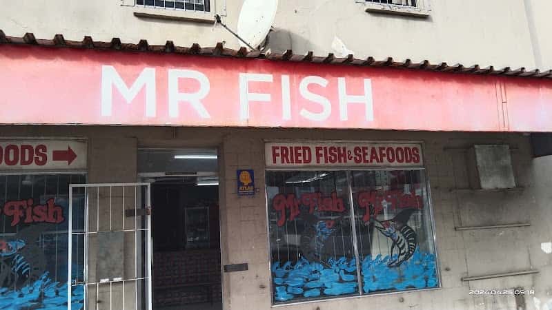Mr. Fish