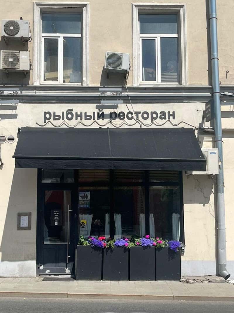 bébé de la mer